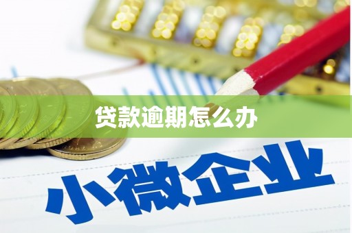名间贷款逾期怎么办