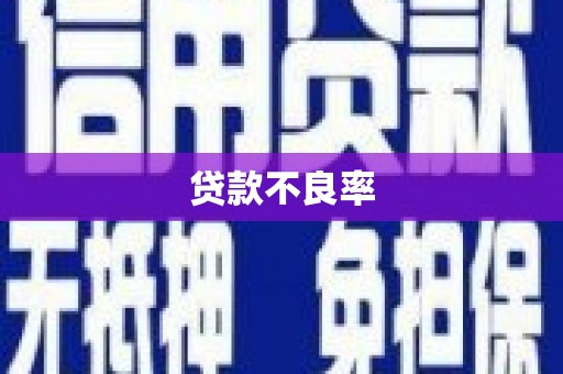 名间贷款不良率