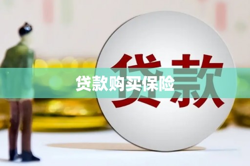 名间贷款购买保险