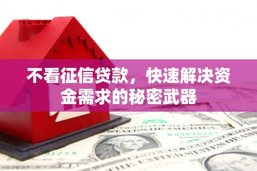 名间不看征信贷款，快速解决资金需求的秘密武器