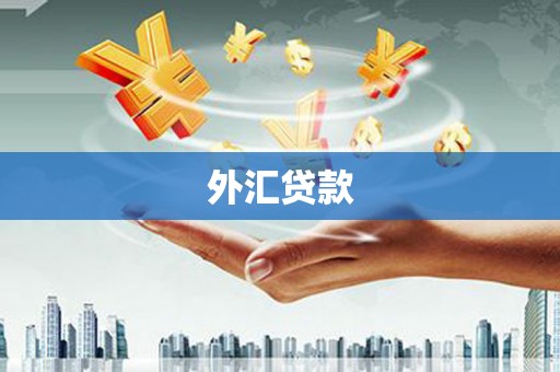 名间外汇贷款