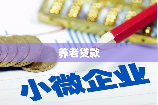 名间养老贷款
