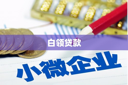 名间白领贷款