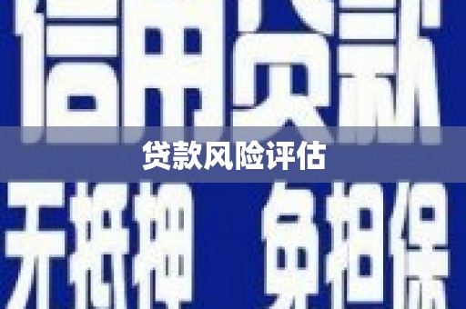 名间贷款风险评估