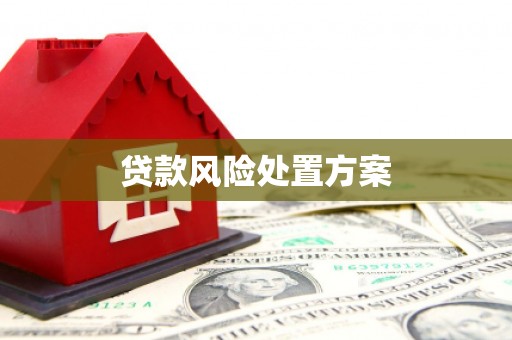 名间贷款风险处置方案