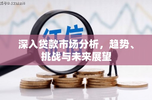 名间深入贷款市场分析，趋势、挑战与未来展望