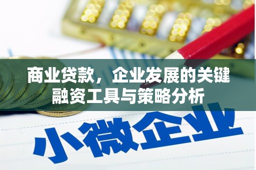 名间商业贷款，企业发展的关键融资工具与策略分析