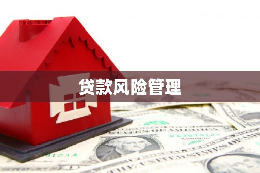 名间贷款风险管理