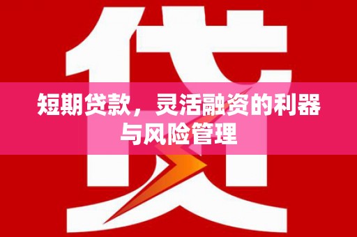 名间短期贷款，灵活融资的利器与风险管理