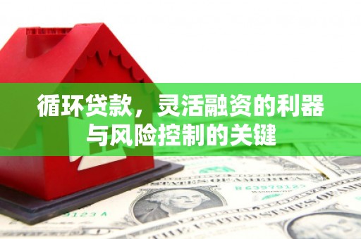 名间循环贷款，灵活融资的利器与风险控制的关键