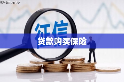 名间贷款购买保险