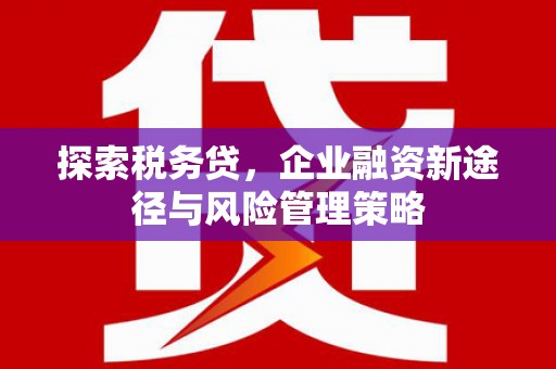 名间探索税务贷，企业融资新途径与风险管理策略