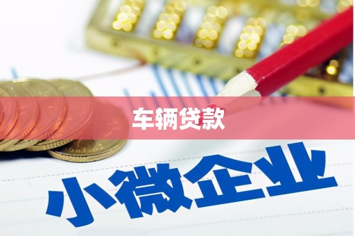 名间车辆贷款