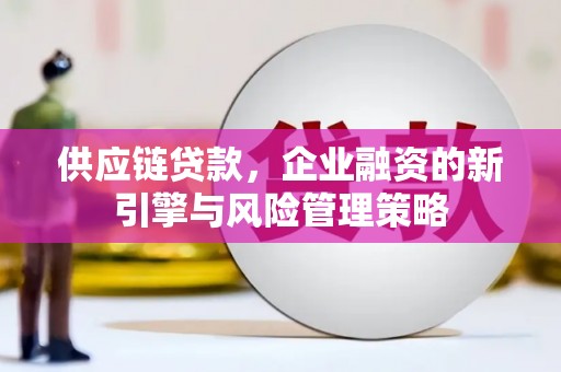 名间供应链贷款，企业融资的新引擎与风险管理策略