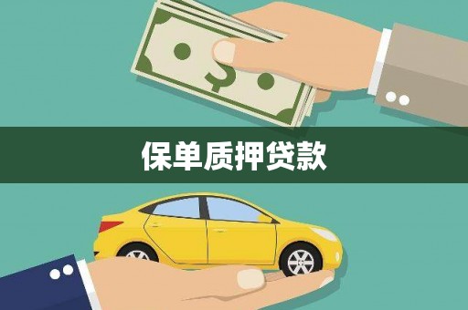 名间保单质押贷款