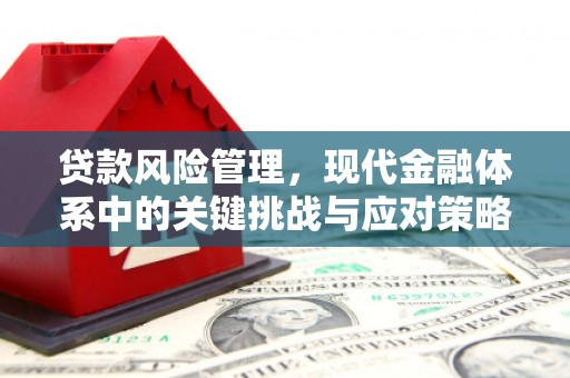名间贷款风险管理，现代金融体系中的关键挑战与应对策略