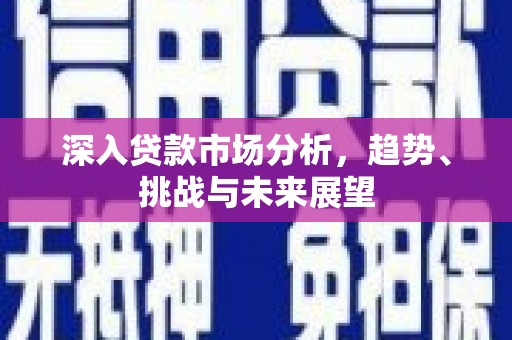 名间深入贷款市场分析，趋势、挑战与未来展望