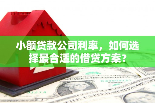 名间小额贷款公司利率，如何选择最合适的借贷方案？