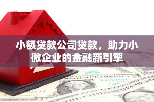 名间小额贷款公司贷款，助力小微企业的金融新引擎