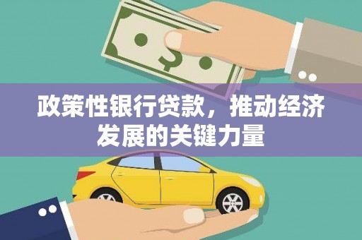 名间政策性银行贷款，推动经济发展的关键力量
