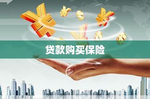 名间贷款购买保险