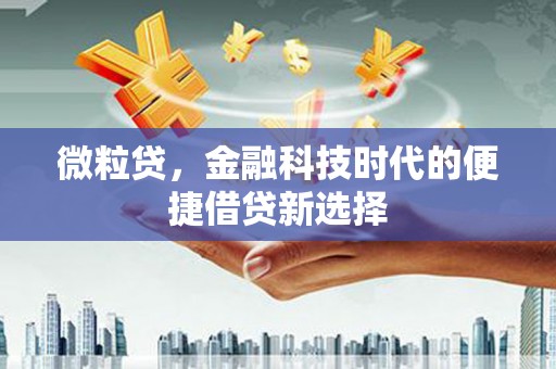 名间微粒贷，金融科技时代的便捷借贷新选择