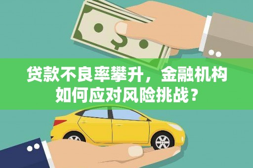 名间贷款不良率攀升，金融机构如何应对风险挑战？