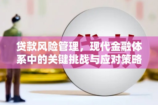 名间贷款风险管理，现代金融体系中的关键挑战与应对策略
