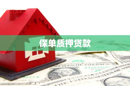 名间保单质押贷款