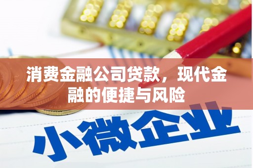 名间消费金融公司贷款，现代金融的便捷与风险