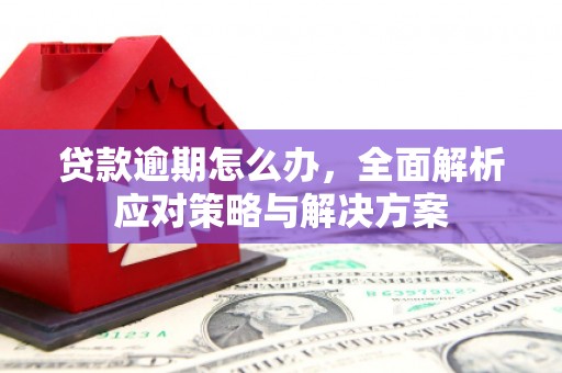 名间贷款逾期怎么办，全面解析应对策略与解决方案