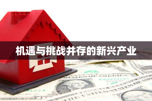 名间机遇与挑战并存的新兴产业