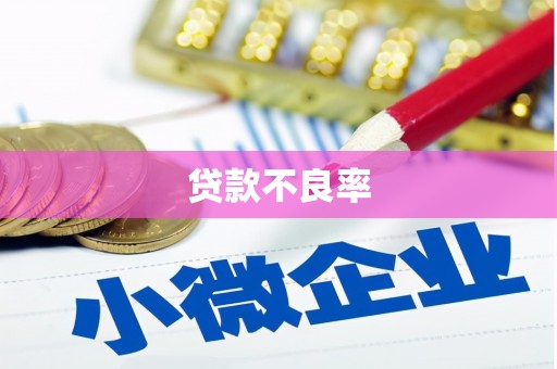 名间贷款不良率
