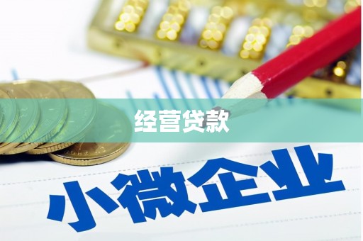 名间经营贷款